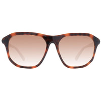 Brown Plastic Sunglasses