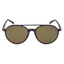 Brown Acetate Sunglasses