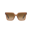 Brown Acetate Sunglasses