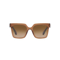 Brown Acetate Sunglasses
