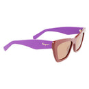 Brown Acetate Sunglasses