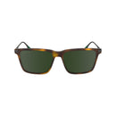 Brown Acetate Sunglasses